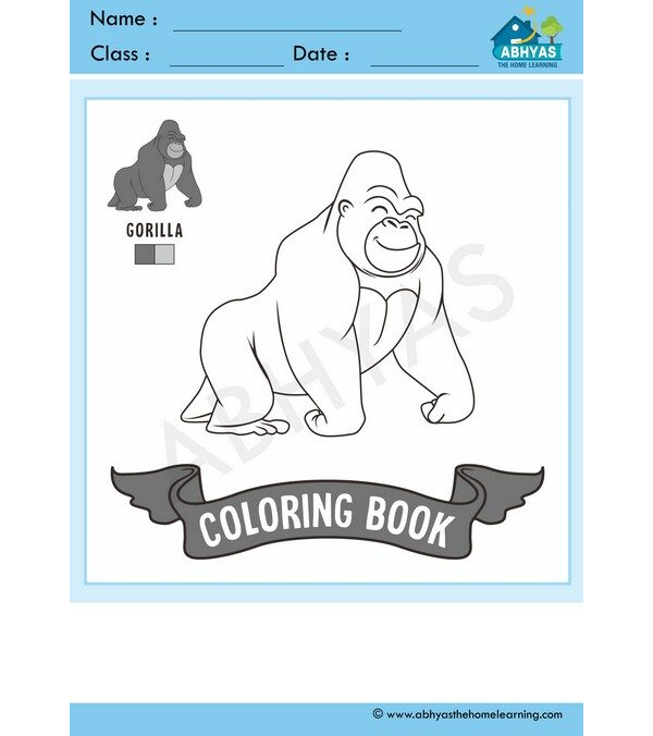 Coloring Book